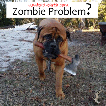 2014_ZombieProblem