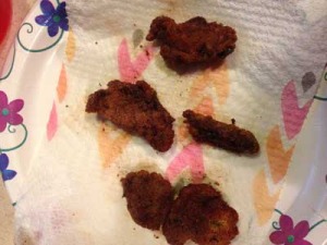 2014_Duck_Nuggets