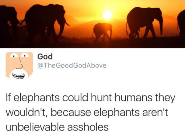 2015_Elephants_And_Assholes